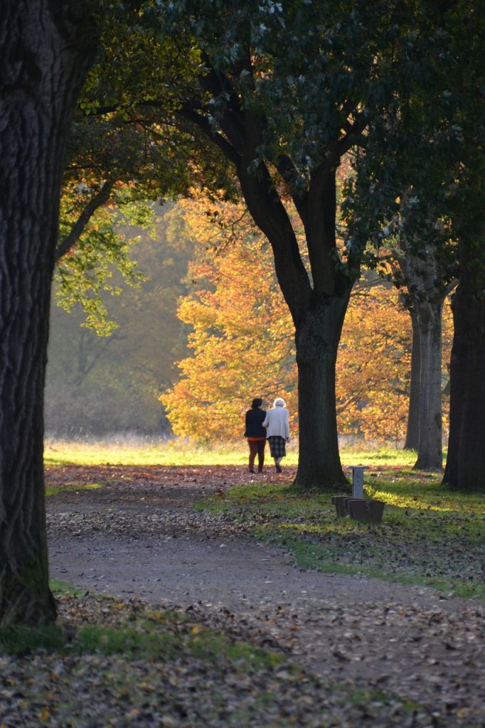 Herbstspaziergang